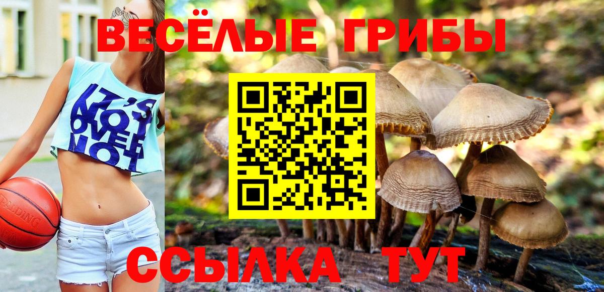 Галлюциногенные грибы Magic Shrooms Губаха
