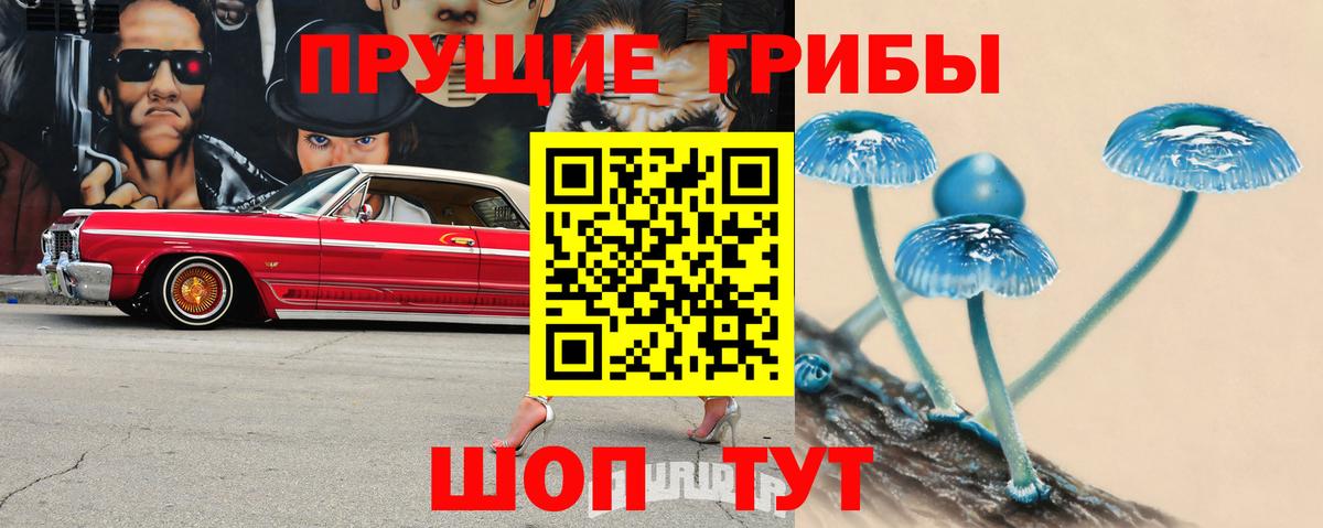 Галлюциногенные грибы Psilocybine cubensis  Вход с VPN  цены наркотик  Губаха 